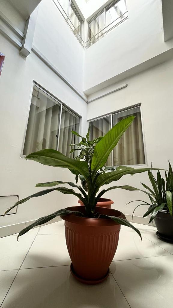 Fitzcarrald Hotel إكيتوس المظهر الخارجي الصورة
